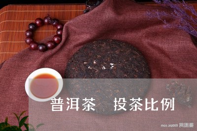 普洱茶 投茶比例/2023031774049